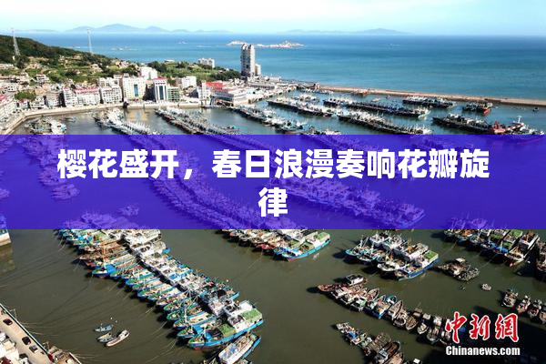 樱花盛开，春日浪漫奏响花瓣旋律