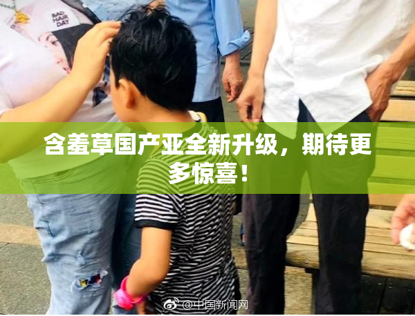 含羞草国产亚全新升级，期待更多惊喜！