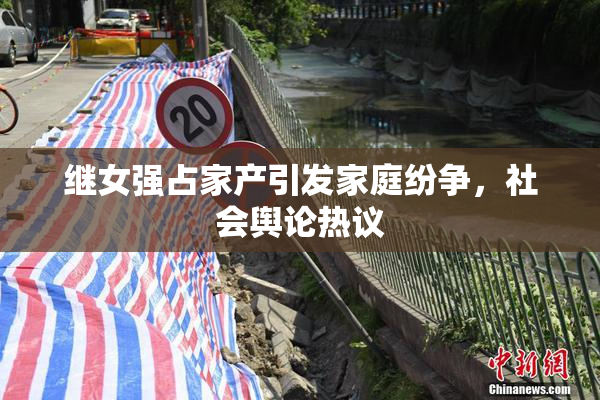 继女强占家产引发家庭纷争，社会舆论热议