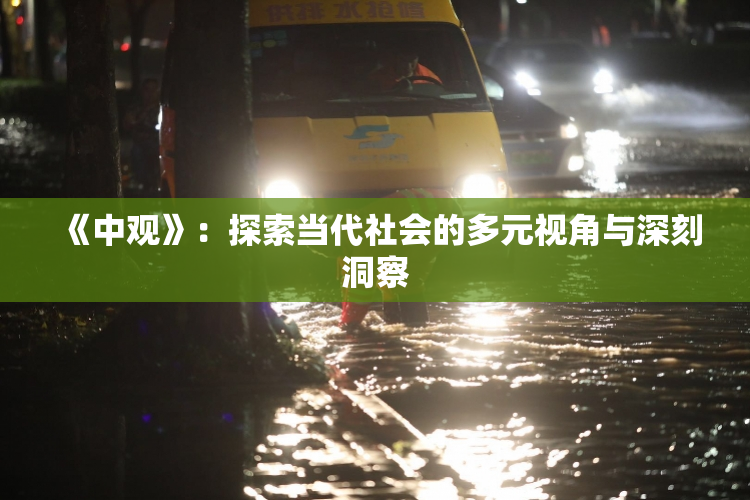 《中观》：探索当代社会的多元视角与深刻洞察