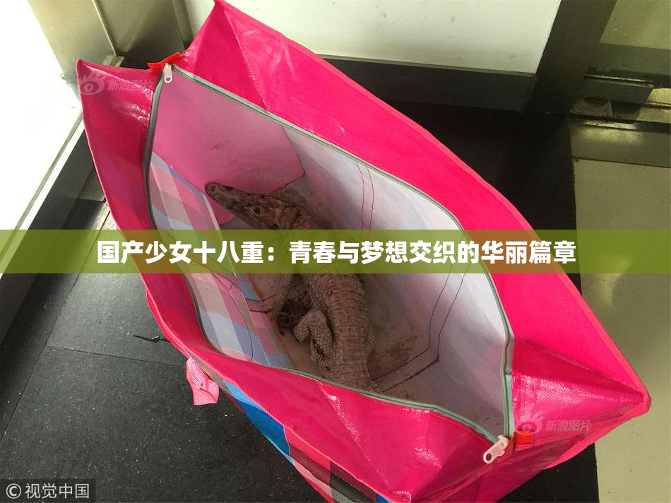 国产少女十八重：青春与梦想交织的华丽篇章