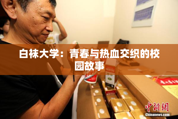 白袜大学：青春与热血交织的校园故事
