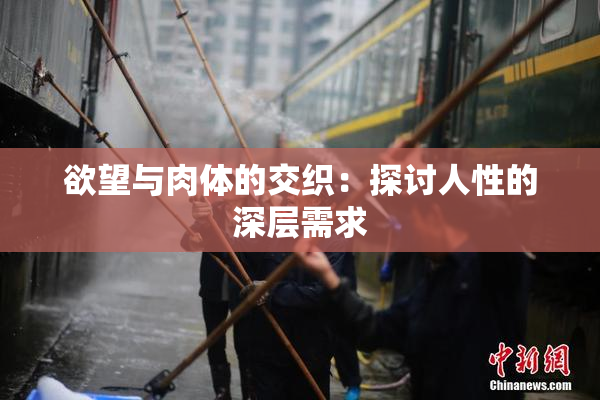 欲望与肉体的交织：探讨人性的深层需求
