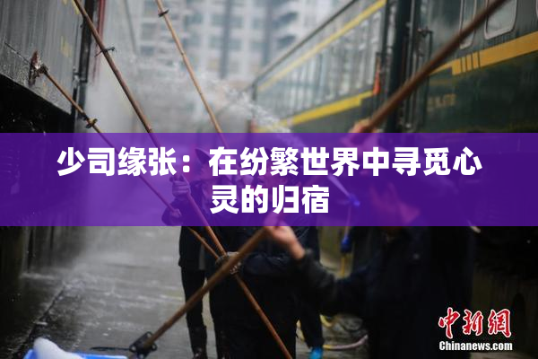 少司缘张：在纷繁世界中寻觅心灵的归宿