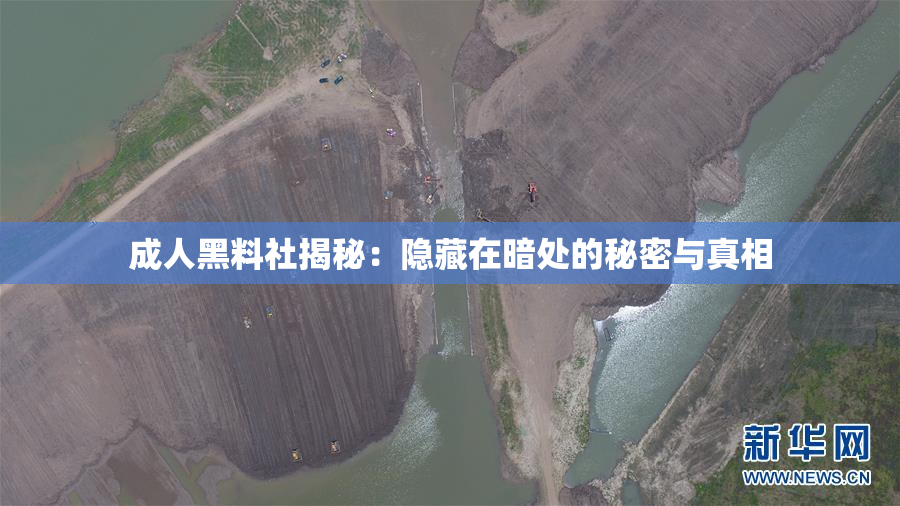 成人黑料社揭秘：隐藏在暗处的秘密与真相