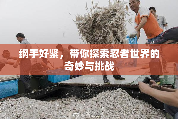 纲手好紧，带你探索忍者世界的奇妙与挑战