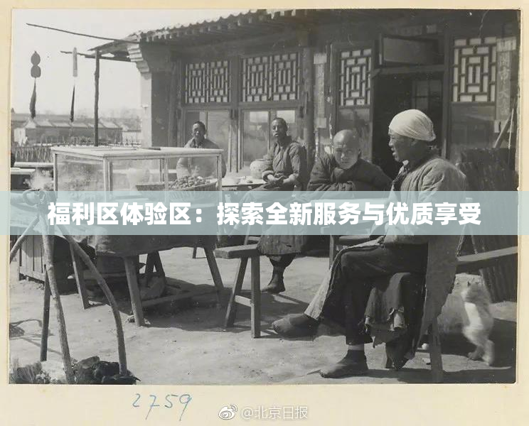 福利区体验区：探索全新服务与优质享受