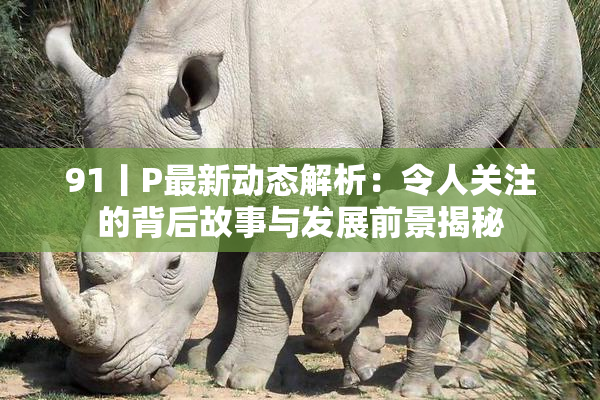 91丨P最新动态解析：令人关注的背后故事与发展前景揭秘
