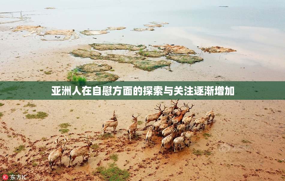 亚洲人在自慰方面的探索与关注逐渐增加