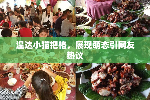 温达小猫把格，展现萌态引网友热议