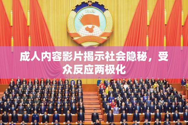 成人内容影片揭示社会隐秘，受众反应两极化