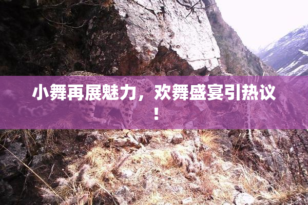小舞再展魅力，欢舞盛宴引热议！