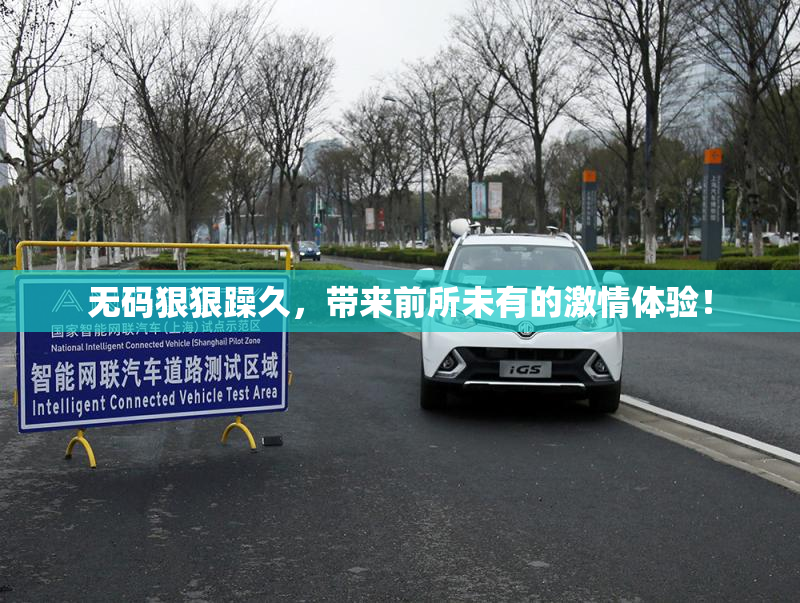 无码狠狠躁久，带来前所未有的激情体验！