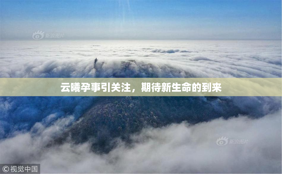 云曦孕事引关注，期待新生命的到来