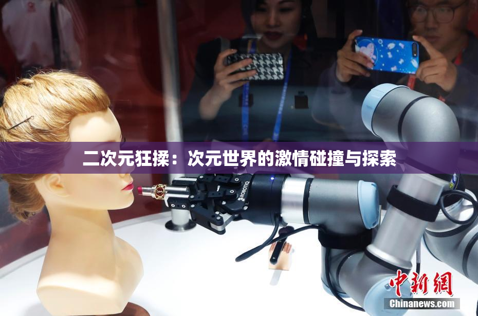 二次元狂揉：次元世界的激情碰撞与探索