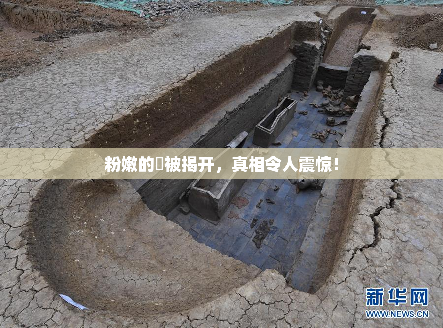 粉嫩的泬被揭开，真相令人震惊！