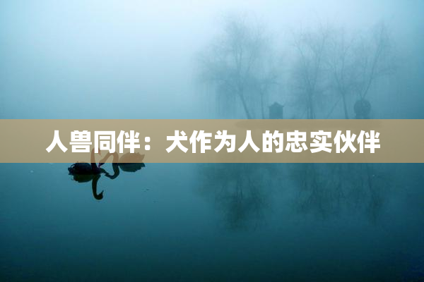 人兽同伴：犬作为人的忠实伙伴