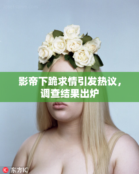 影帝下跪求情引发热议，调查结果出炉