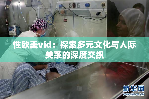 性欧美vid：探索多元文化与人际关系的深度交织