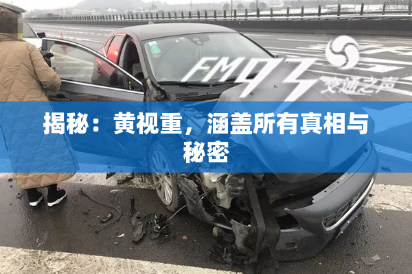 揭秘：黄视重，涵盖所有真相与秘密
