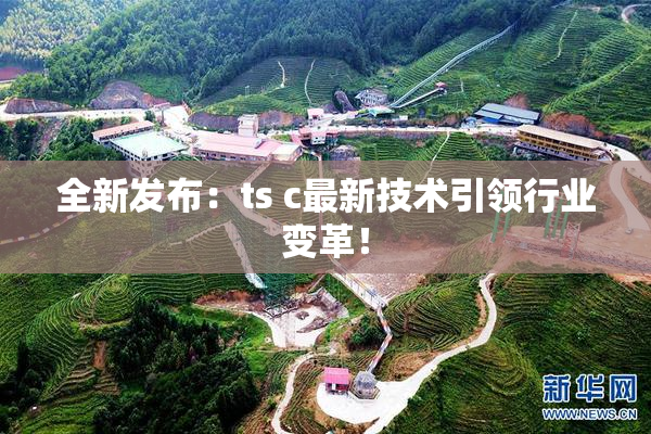 全新发布：ts c最新技术引领行业变革！
