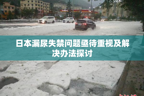 日本漏尿失禁问题亟待重视及解决办法探讨