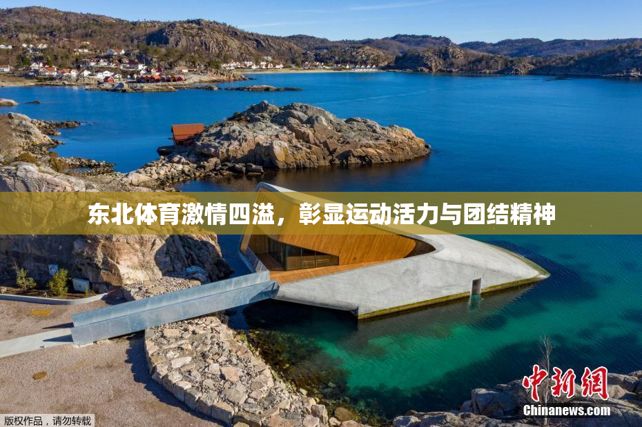 东北体育激情四溢，彰显运动活力与团结精神