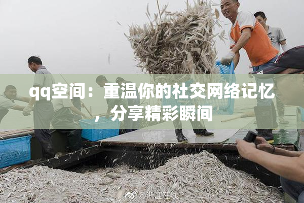 qq空间：重温你的社交网络记忆，分享精彩瞬间