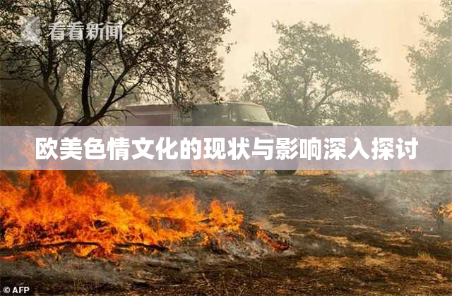 欧美色情文化的现状与影响深入探讨