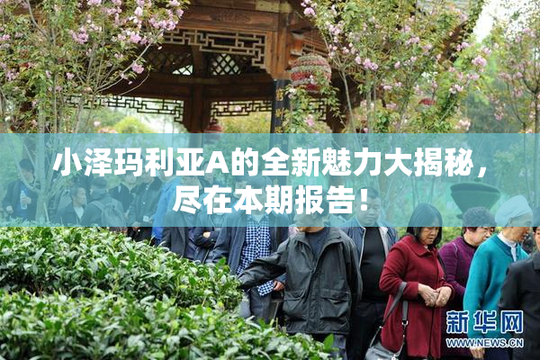 小泽玛利亚A的全新魅力大揭秘，尽在本期报告！