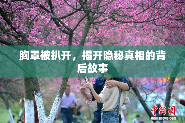 胸罩被扒开，揭开隐秘真相的背后故事