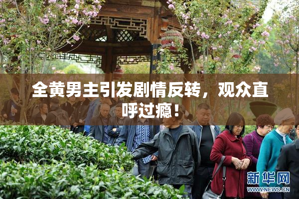 全黄男主引发剧情反转，观众直呼过瘾！
