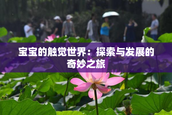 宝宝的触觉世界：探索与发展的奇妙之旅