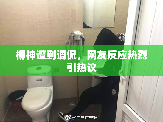 柳神遭到调侃，网友反应热烈引热议