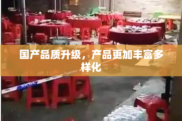国产品质升级，产品更加丰富多样化