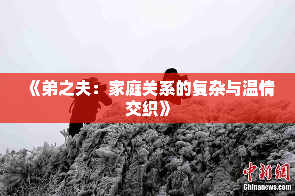《弟之夫：家庭关系的复杂与温情交织》