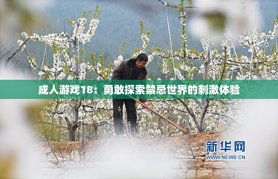 成人游戏18：勇敢探索禁忌世界的刺激体验