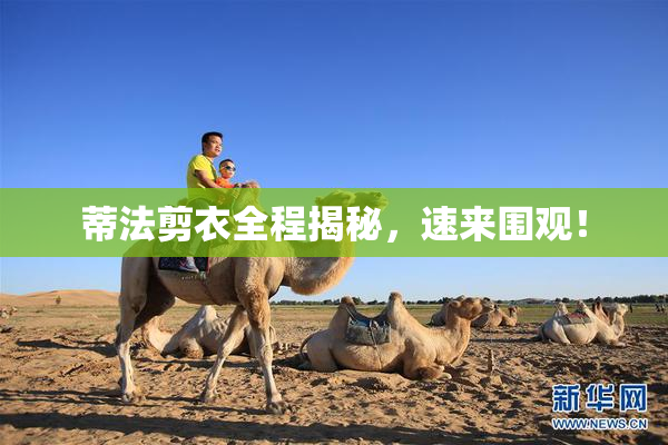 蒂法剪衣全程揭秘，速来围观！