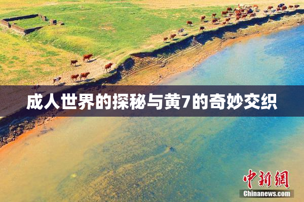成人世界的探秘与黄7的奇妙交织