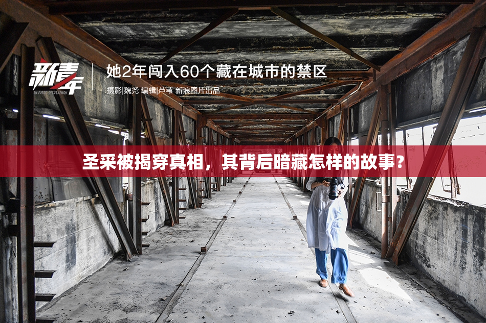 圣采被揭穿真相，其背后暗藏怎样的故事？