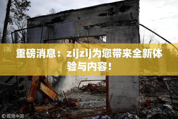 重磅消息：zijzij为您带来全新体验与内容！