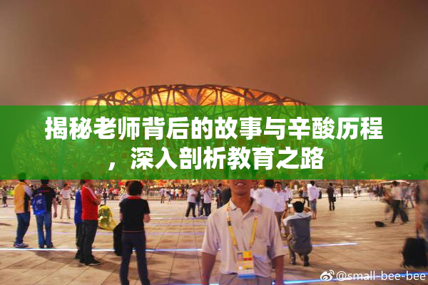 揭秘老师背后的故事与辛酸历程，深入剖析教育之路
