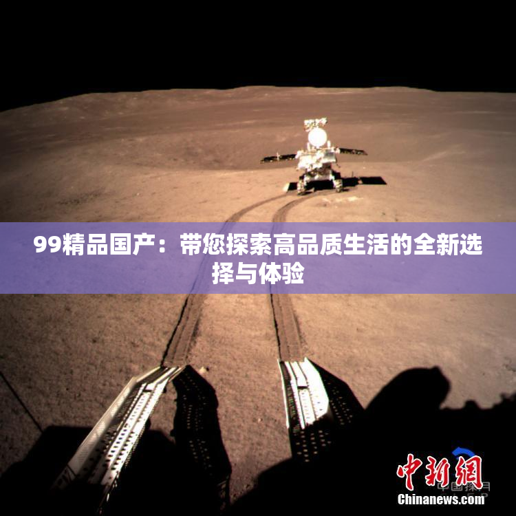99精品国产：带您探索高品质生活的全新选择与体验