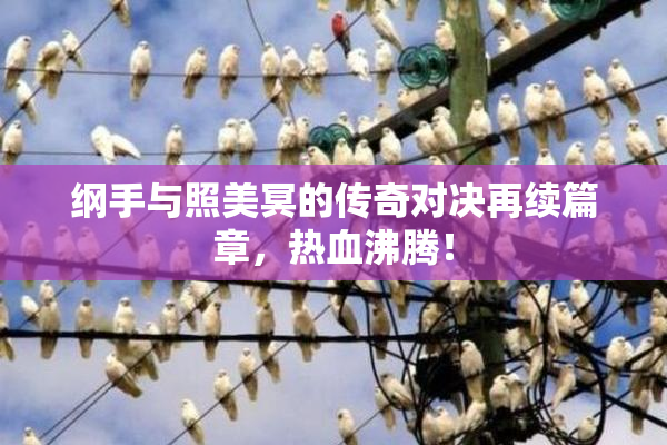纲手与照美冥的传奇对决再续篇章，热血沸腾！
