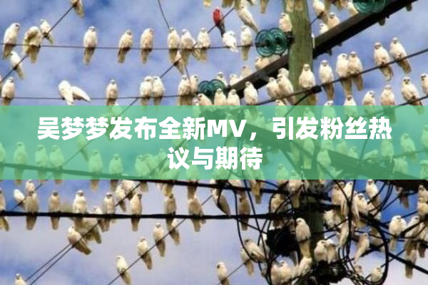 吴梦梦发布全新MV，引发粉丝热议与期待