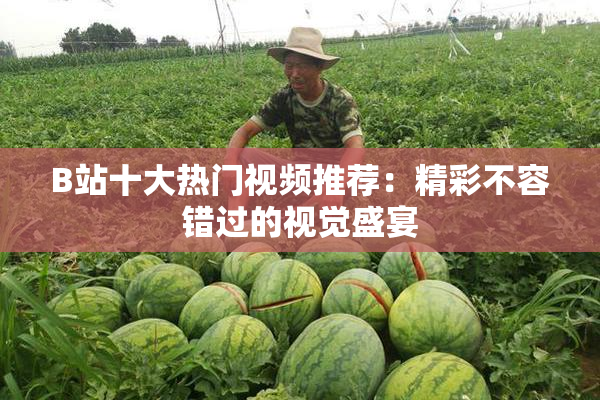 B站十大热门视频推荐：精彩不容错过的视觉盛宴