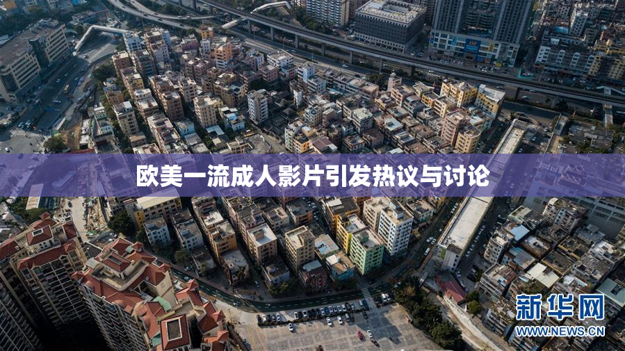 欧美一流成人影片引发热议与讨论