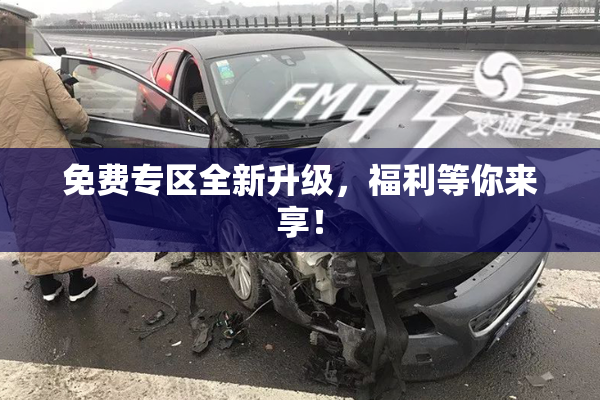 免费专区全新升级，福利等你来享！