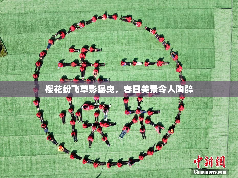 樱花纷飞草影摇曳，春日美景令人陶醉