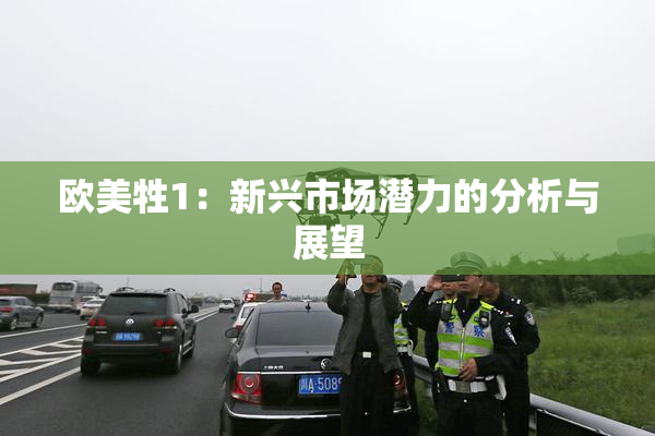 欧美牲1：新兴市场潜力的分析与展望